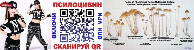 Псилоцибиновые грибы GOLDEN TEACHER  Купить закладки  Мостовской 